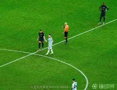 爱游戏APP下载-大坂直美混血